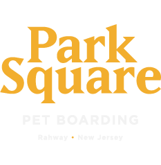 Park Square Boarding