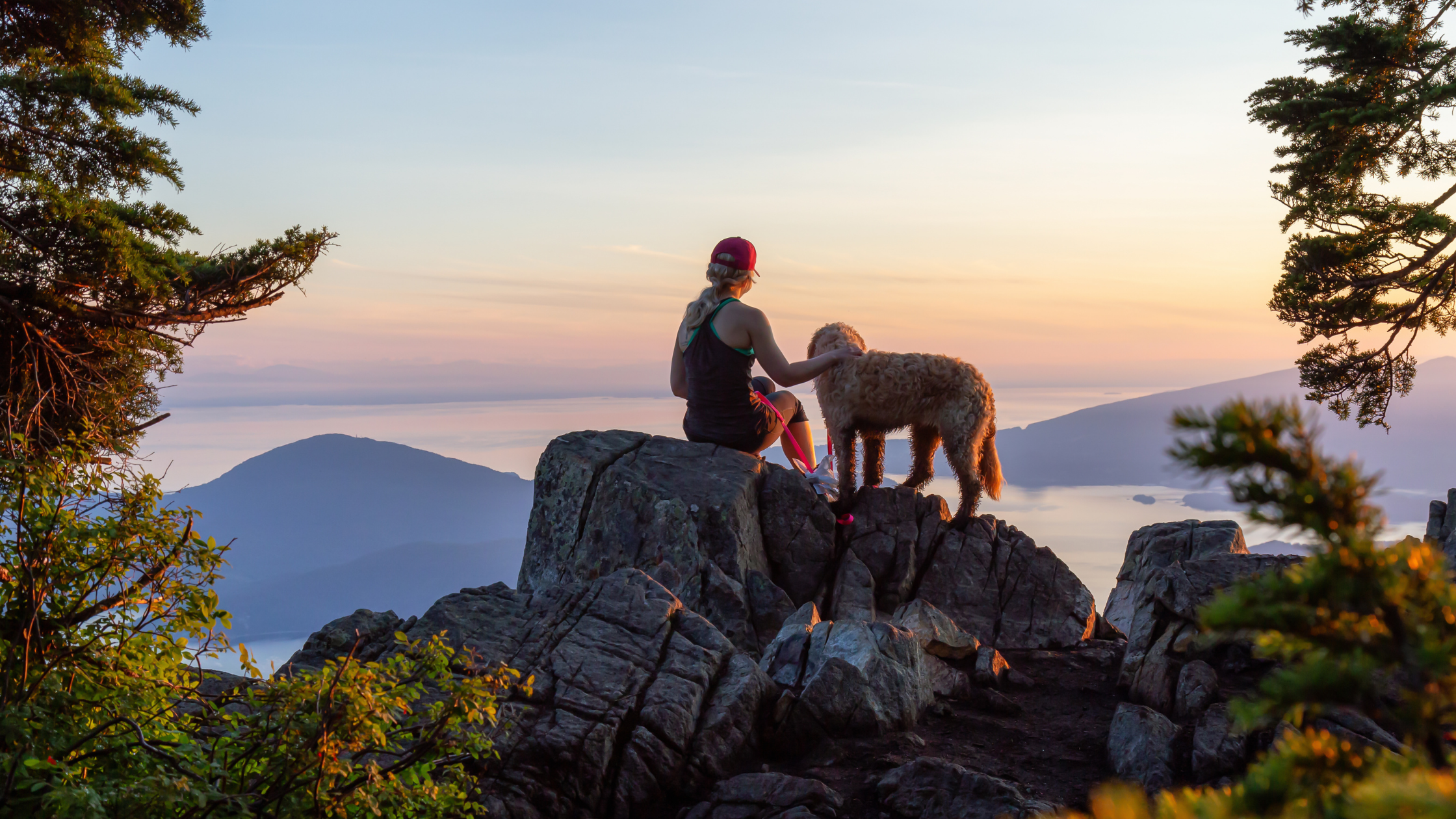 Paws on the Road: Summer Traveling with Your Pets in Colorado
